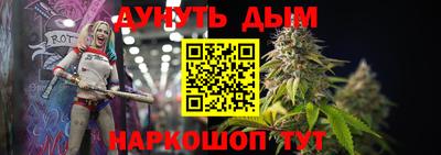 сатива Нальчик
