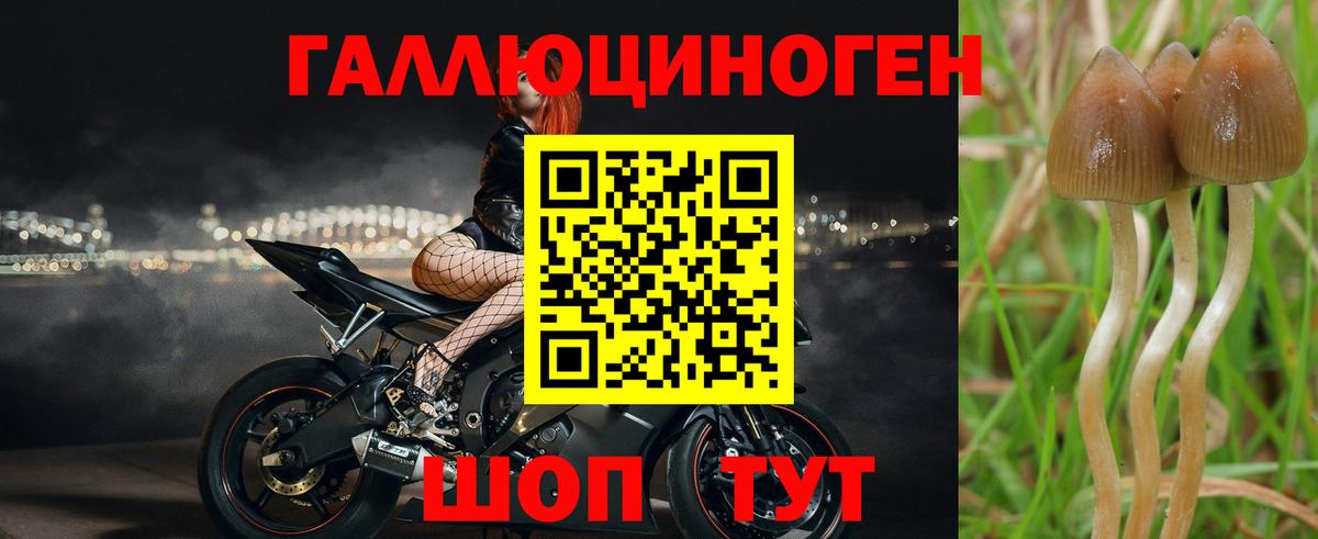 Галлюциногенные грибы Psilocybine cubensis  Вход с VPN  Галлюциногенные грибы Psilocybine cubensis  Туапсе 