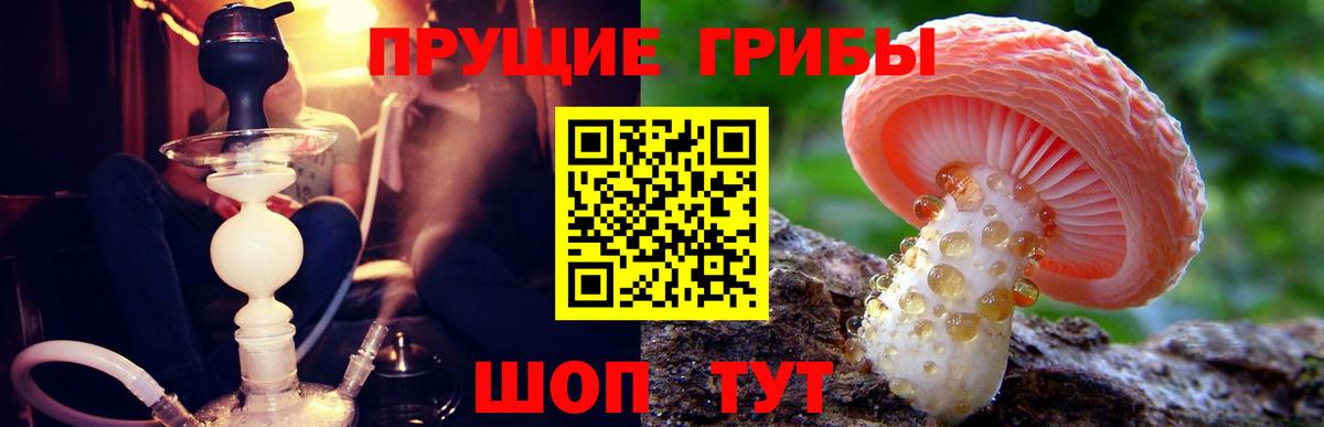 Псилоцибиновые грибы Cubensis Туапсе