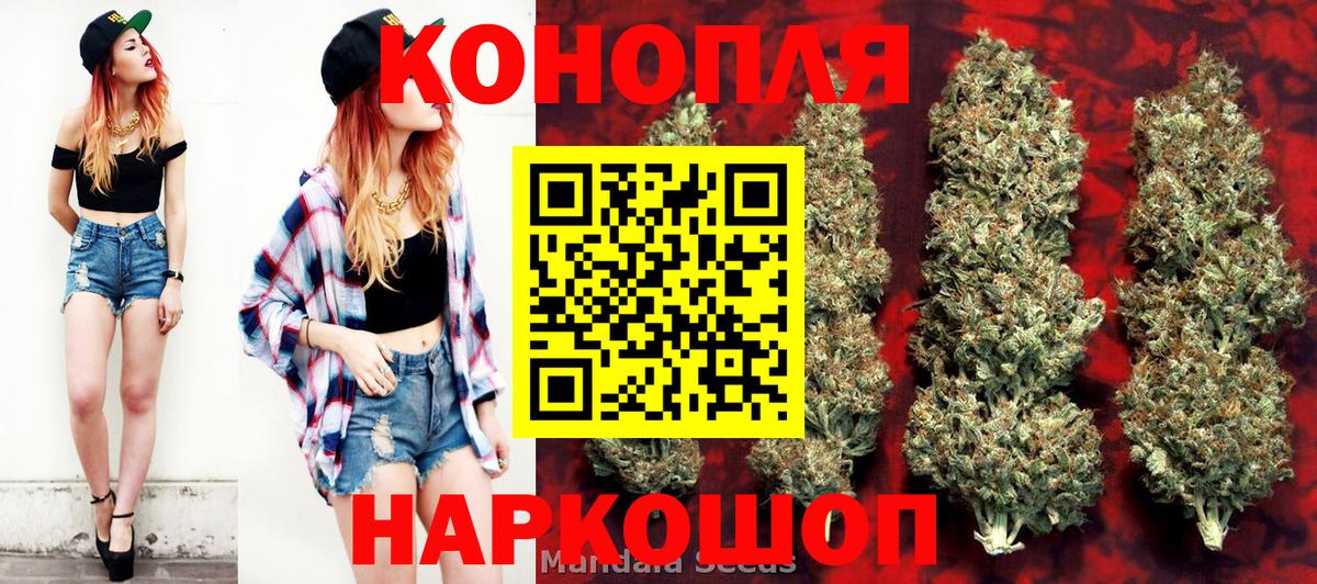 Бошки марихуана AK-47  Вход с VPN  Марихуана план  Бошки марихуана White Widow  Туапсе 